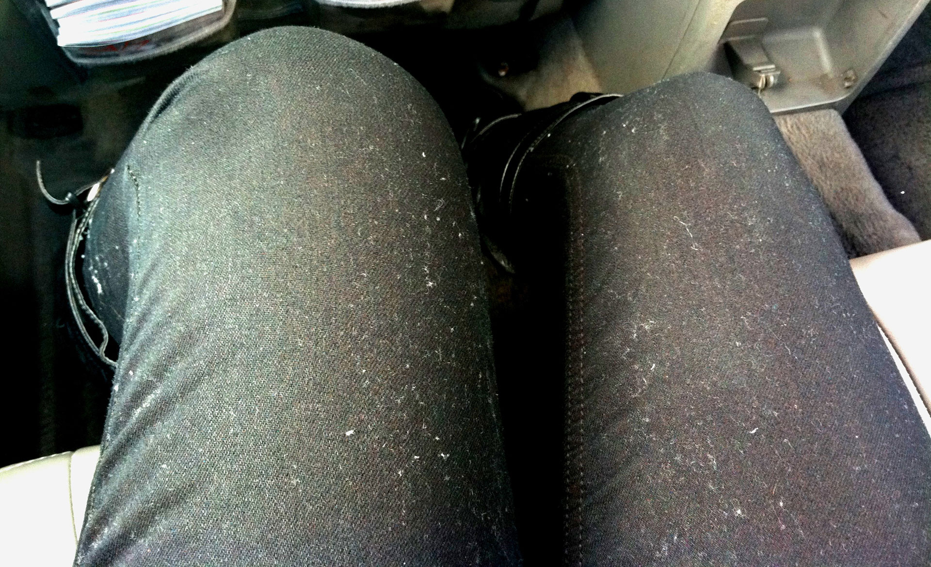 Ugh! That lint on my jeans 